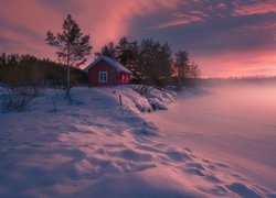 Zima, Dom, Drzewa, Zaśnieżone, Jezioro, Ringerike, Norwegia