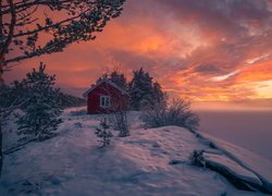 Zima, Czerwony, Domek, Drzewa, Ringerike, Norwegia