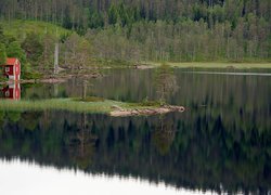 Czerwony domek pod drzewami nad jeziorem