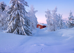 Czerwony domek wśród zaśnieżonych drzew w zaspach