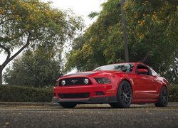 Ford Mustang, 2013, Czerwony