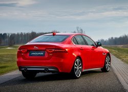 Czerwony, Jaguar XE 300, Sport, Droga