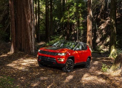 Czerwony Jeep Compass Trailhawk rocznik 2017 w lesie