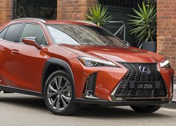 Lexus UX, Hybryda, , Czerwony