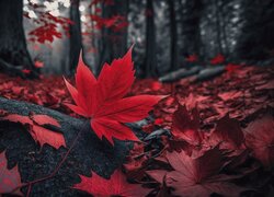 Czerwony liść klonu na opadłych liściach