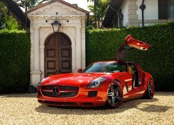 Czerwony, Mercedes-Benz SLS AMG, Brama, Żywopłot