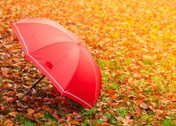 Czerwony parasol na opadłych pożółkłych liściach