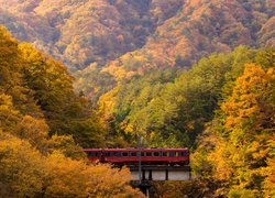 Czerwony pociąg pośród jesiennych drzew