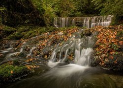 Wodospad Stock Ghyll Force, Kaskada, Rzeka River Rothay, Liście, Jesień, Miejscowość Ambleside, Kumbria, Anglia