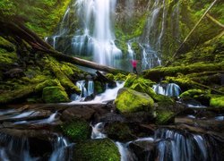 Stany Zjednoczone, Stan Oregon, Wodospad, Proxy Falls, Omszałe, Kamienie, Konary, Człowiek