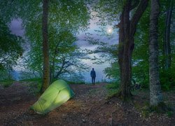Człowiek obok namiotu pomiędzy drzewami