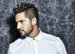 David Bisbal Ferre, Piosenkarz, Hiszpania, Mężczyzna