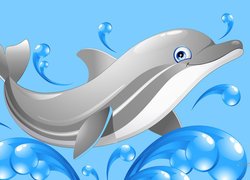 Delfin, 2D
