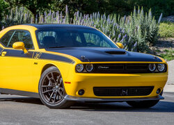 Dodge Challenger TA 392