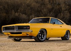 Dodge Charger Captiv, 1969, Ringbrothers, Hot Rod, 2021