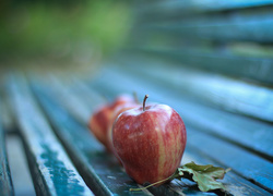 Dojrzałe czerwone jabłko z suchym listkiem na ławce