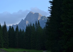 Dolina Białej Wody i jej niepowtarzalny szlak w Tatrach Słowackich