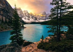 Kanada, Alberta, Park Narodowy Banff, Jezioro Moraine, Dolina Valley of the Ten Peaks, Dolina Dziesięciu Szczytów, Las, Drzewa, Góry