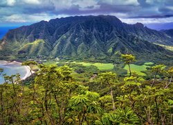 Dolina, Kahana Valley, Góry, Roślinność, Koolauloa, Hawaje, Stany Zjednoczone