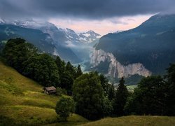 Szwajcaria, Gmina Lauterbrunnen, Wengen, Góry, Alpy Berneńskie, Dolina Lauterbrunnen, Lasy, Drzewa, Domy