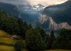 Gmina Lauterbrunnen, Wengen, Góry, Alpy Berneńskie, Dolina Lauterbrunnen, Lasy, Drzewa, Domy, Szwajcaria