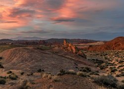 Skały, Park stanowy Valley of Fire, Dolina Ognia, Nevada, Stany Zjednoczone