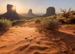 Wyżyna Kolorado, Region Monument Valley, Dolina Pomników, Skały, Krzewy, Stan Utah, Stany Zjednoczone