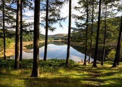 Dolina Upper Derwent Valley w hrabstwie Derbyshire