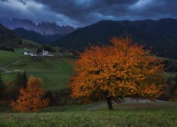 Góry, Dolomity, Dolina Val di Funes, Domy, Wieś Santa Magdalena, Kościół, Drzewa, Droga, Włochy