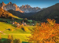 Włochy, Dolomity, Dolina Val di Funes, Wieś Santa Maddalena, Jesień, Góry, Masyw Odle, Kościół, Lasy, Drzewa