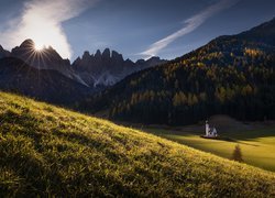 Włochy, Dolina Val di Funes, Kościół św Jana, Góry, Dolomity, Jesień, Las, Drzewa, Promienie słońca, Łąka