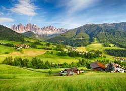 Włochy, Wieś Santa Maddalena, Dolina Val di Funes, Góry Dolomity, Drzewa