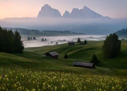 Mgła, Góry Sassolungo, Dolomity, Drewniane, Domki, Płaskowyż Seiser Alm, Dolina Val Gardena, Łąki, Włochy