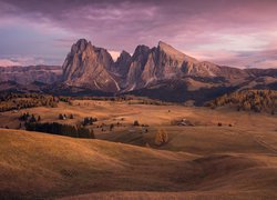 Płaskowyż Seiser Alm, Dolina Val Gardena, Góry Sassolungo, Dolomity,  Wzgórza, Domy, Drzewa, Włochy