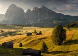 Włochy, Płaskowyż Seiser Alm, Dolina Val Gardena, Dolomity, Góry Sassolungo, Drewniane, Domki, Drzewa, Chmury