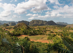 Kuba, Góry, Sierra de los Organos, Pole, Drzewa, Palmy, Domki, Dolina, Valle de Vinales