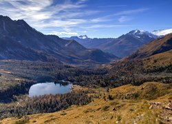 Dolina, Val da Camp, Valle di Campo, Góry, Alpy, Jezioro, Lagh da Val Viola, Kanton Gryzonia, Szwajcaria