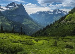 Góry Skaliste, Las, Drzewa, Dolina, Chmury, Park Narodowy Glacier, Stan Montana, Stany Zjednoczone