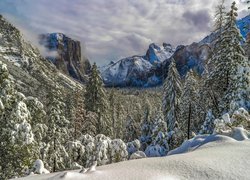 Dolina Yosemite Valley, Park Narodowy Yosemite, Stan Kalifornia, Stany Zjednoczone, Zima, Góry, Drzewa, Świerki