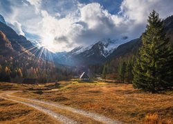 Dolina Zadnja Trenta, Triglavski Park Narodowy, Słowenia, Góry Alpy Julijskie, Droga, Drzewa, Domy, Promienie słońca