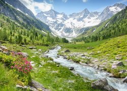 Góry, Alpy, Dolina Zillertal, Rzeka Ziller, Kwiaty, Drzewa, Powiat Schwaz, Austria