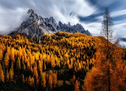 Dolomity otoczone jesiennymi lasami
