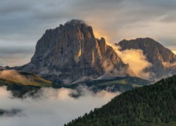 Góry, Dolomity, Mgła, Lasy, Trydent-Górna Adyga, Włochy