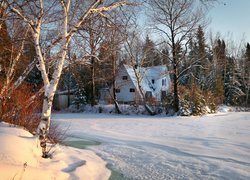 Dom i brzozy w śniegu nad zamarzniętym jeziorem