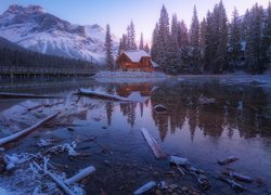 Dom i drzewa nad jeziorem Emerald Lake zimową porą