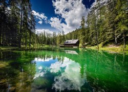 Dom i drzewa nad jeziorem Lago Ghedina