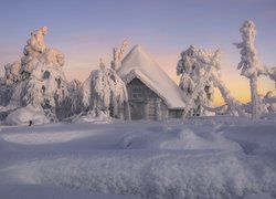Zima, Ośnieżony, Dom, Drzewa, Zaspy, Śnieg