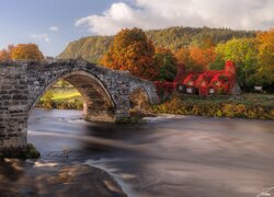 Kamienny, Most, Rzeka, Conwy River, Las, Drzewa, Dom, Jesień, Llanrwst, Walia