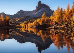 Dom i pożółkłe modrzewie nad jeziorem Lago Federa w Alpach