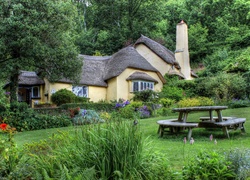 Dom kryty strzechą w angielskiej wsi Selworthy Green